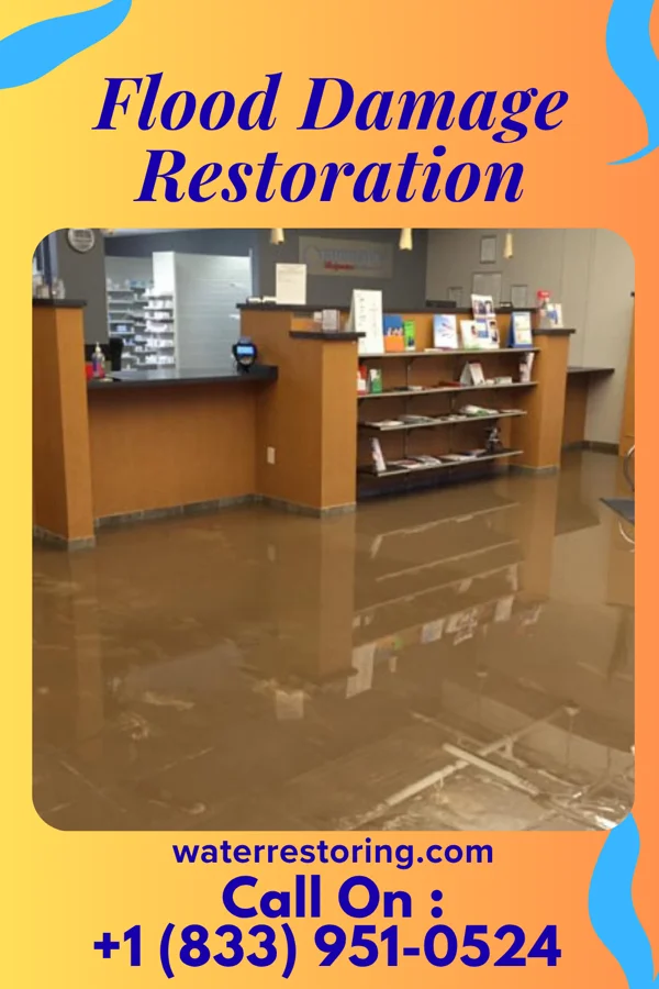 Flood Damage Restoration in Moorhead, MN