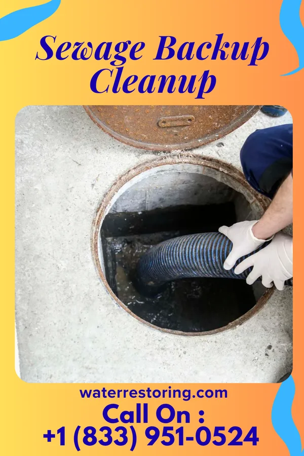 Sewage Backup Cleanup in Moorhead, MN