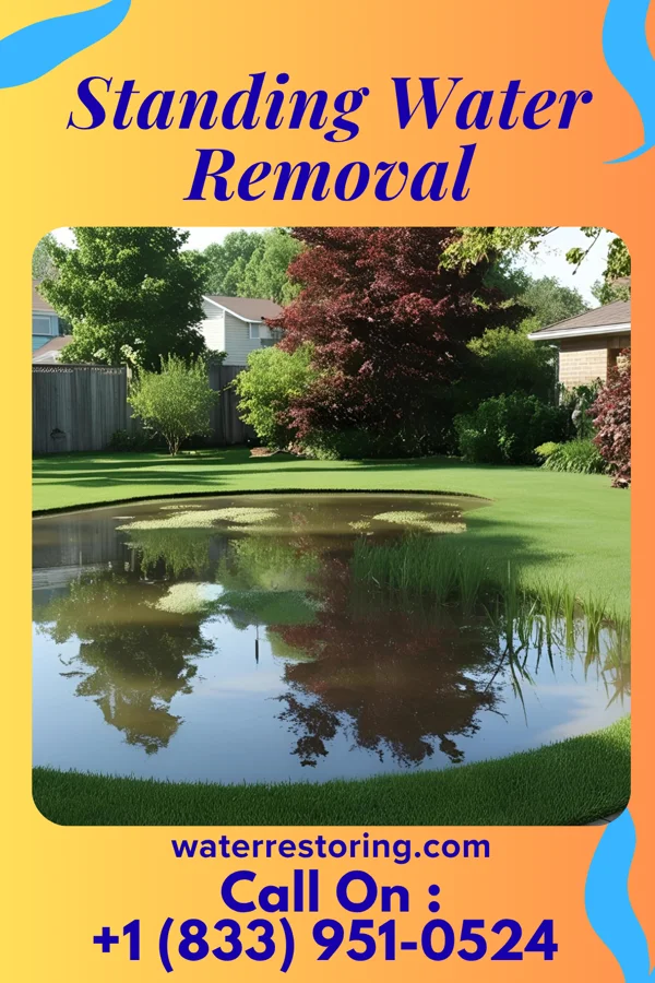 Standing Water Removal in Moorhead, MN